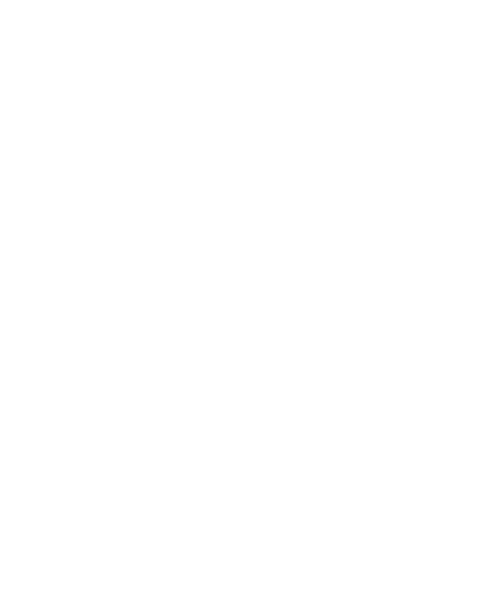 PIK-AS Austria GmbH